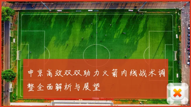 申京高效双双助力火箭内线战术调整全面解析与展望